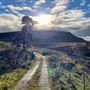 Ballochleam