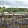 Coldingham Beach and Cafe