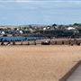 Portobello