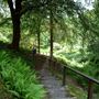 Crarae Glen Garden