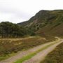 Glen Feshie