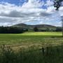 Tinto Hill