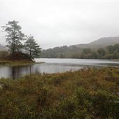 Glen Trool and Loch Trool