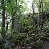 Weem Wood