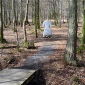 Mabie Forest