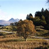Glen Lonan