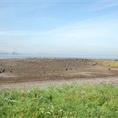 Gosford Sands