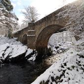 Bridge of Feugh