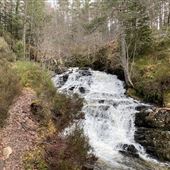 Plodda Falls