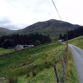 Glen Afton