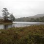 Glen Trool and Loch Trool