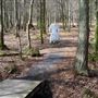 Mabie Forest