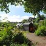 Kelvinside Allotments & Park