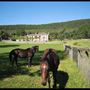 The Old Manse of Blair