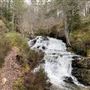 Plodda Falls
