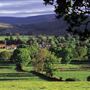 Sweetheart Abbey