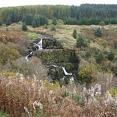 Loup of Fintry