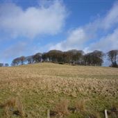 Carmichael Estate