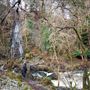 Ness Glen Waterfall