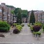 Langside Avenue 1970's Housing Estate