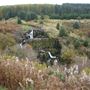 Loup of Fintry