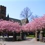 St Andrews Church of Scotland
