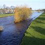Musselburgh