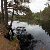 Uath Lochans