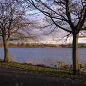 Bishop Loch