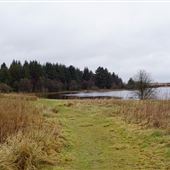 Fannyside Muir and Loch