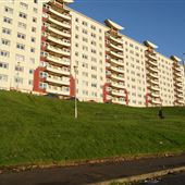 Moss Heights