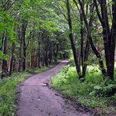 Netherlaw Glen - Kirkcudbright Training Area