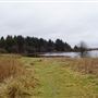 Fannyside Muir and Loch