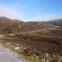 Mull of Kintyre Lighthouse road