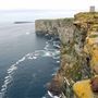 Marwick Head