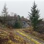 Duke's Pass Slate Quarry