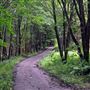 Netherlaw Glen - Kirkcudbright Training Area
